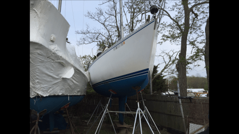 Kirie Elite on Stands 2015